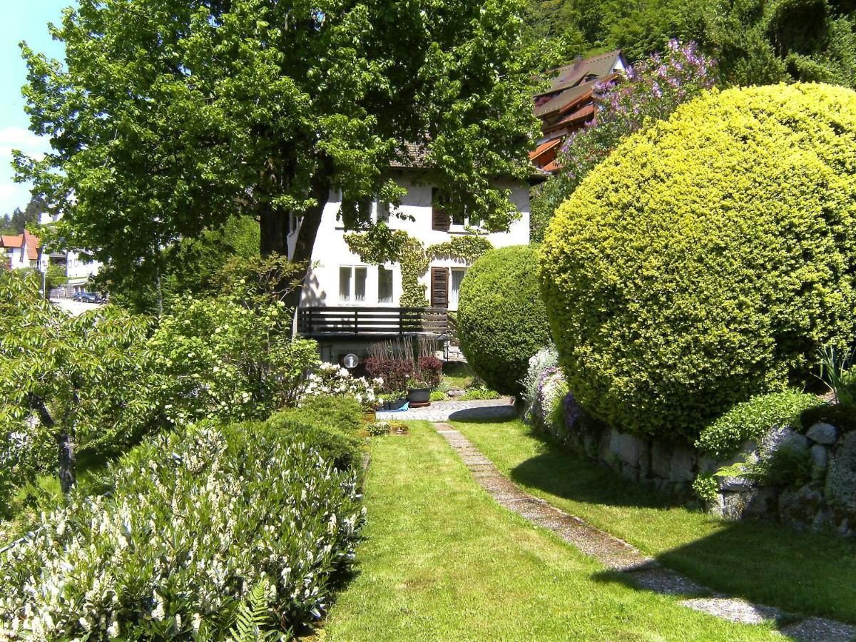 Apartment Maier-2 By Interhome Triberg im Schwarzwald Екстер'єр фото