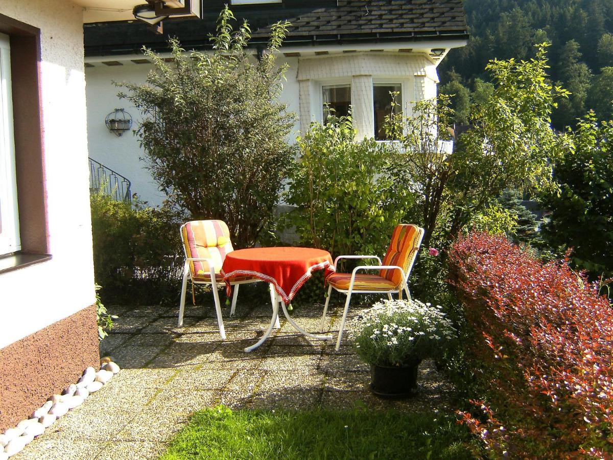 Apartment Maier-2 By Interhome Triberg im Schwarzwald Екстер'єр фото