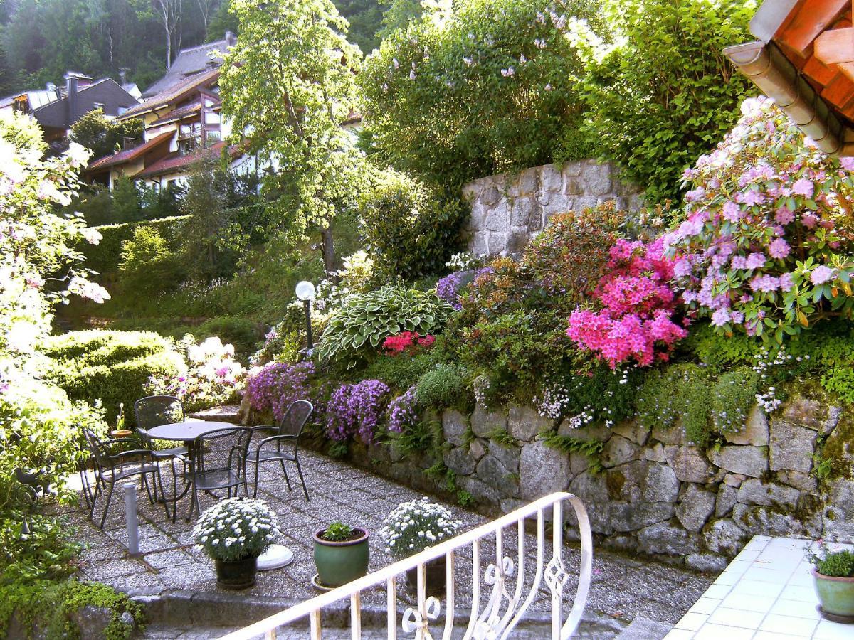 Apartment Maier-2 By Interhome Triberg im Schwarzwald Екстер'єр фото