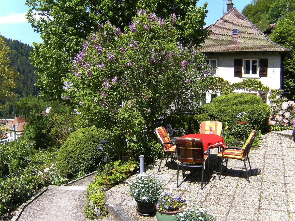 Apartment Maier-2 By Interhome Triberg im Schwarzwald Екстер'єр фото