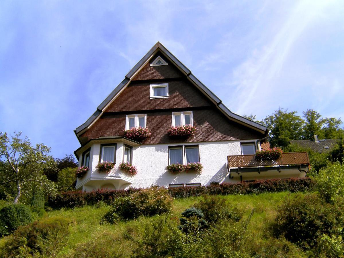 Apartment Maier-2 By Interhome Triberg im Schwarzwald Екстер'єр фото