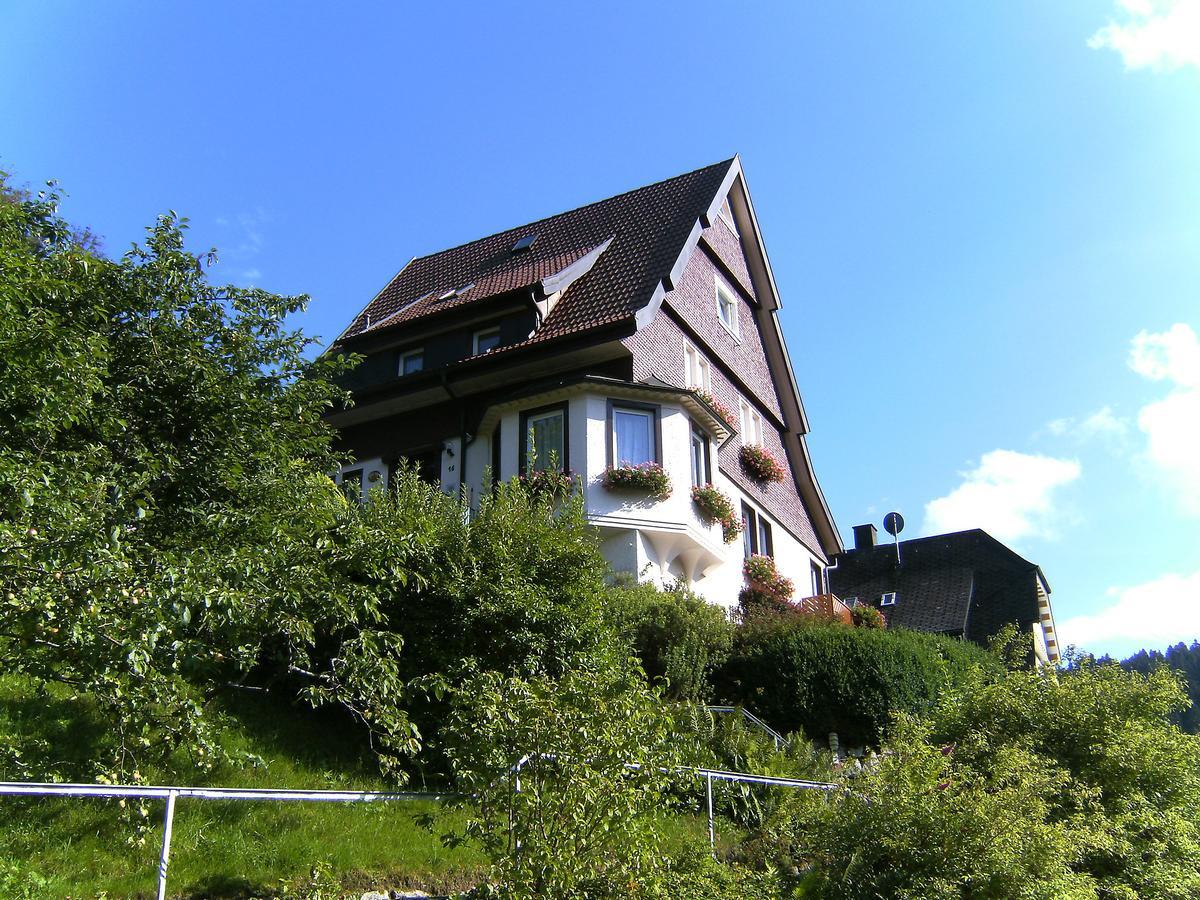 Apartment Maier-2 By Interhome Triberg im Schwarzwald Екстер'єр фото